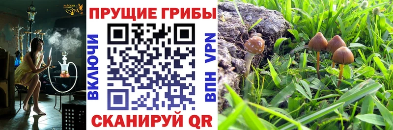 Купить  Лиски  Псилоцибиновые грибы мухоморы 