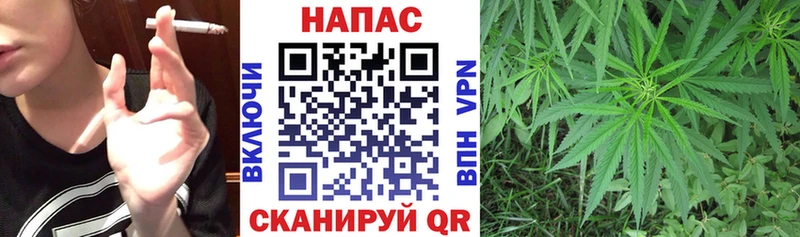 Купить закладки  Лиски  Каннабис SATIVA & INDICA 